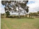 97 Wine Country Drive, Nulkaba NSW 2325