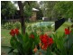 745 Lovedale Road, Lovedale NSW 2325