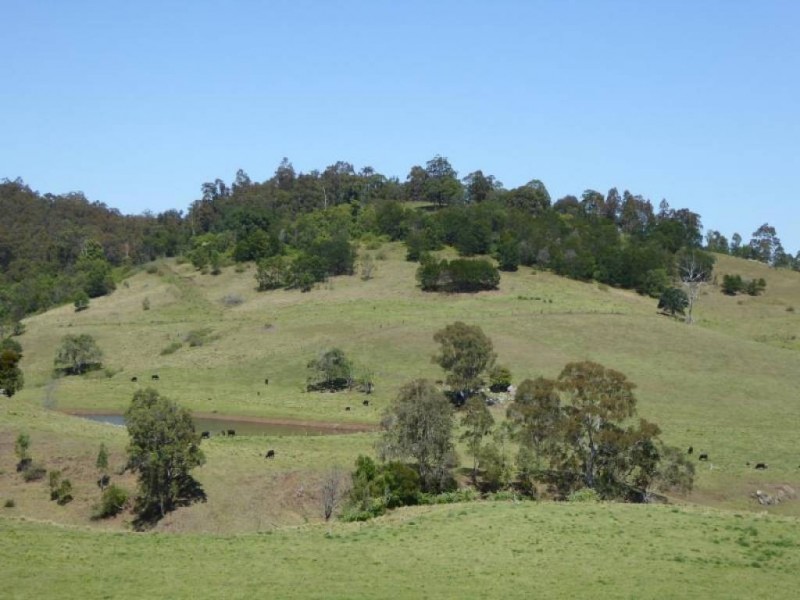 Lot 84 Mount View Road, Mount View NSW 2325