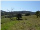 Lot 84 Mount View Road, Mount View NSW 2325