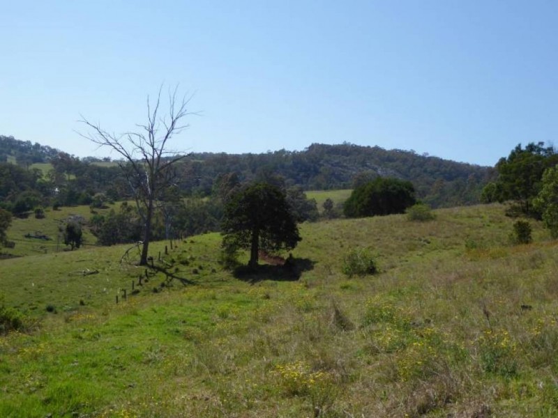 Lot 84 Mount View Road, Mount View NSW 2325