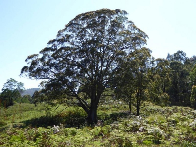 Lot 84 Mount View Road, Mount View NSW 2325