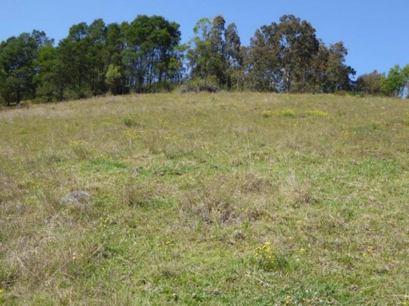 Lot 84 Mount View Road, Mount View NSW 2325