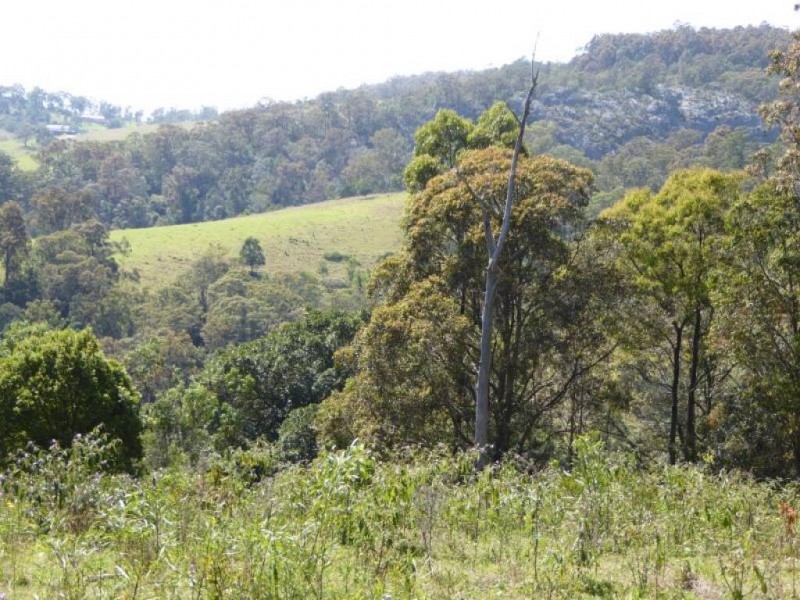 Lot 84 Mount View Road, Mount View NSW 2325