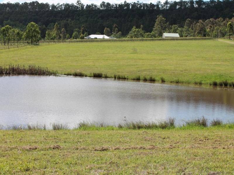 208 Talga Road, Rothbury NSW 2320