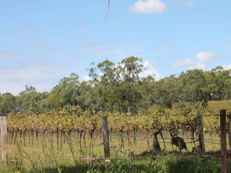 208 Talga Road, Rothbury NSW 2320