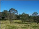 129 Wollombi Road, Millfield NSW 2325