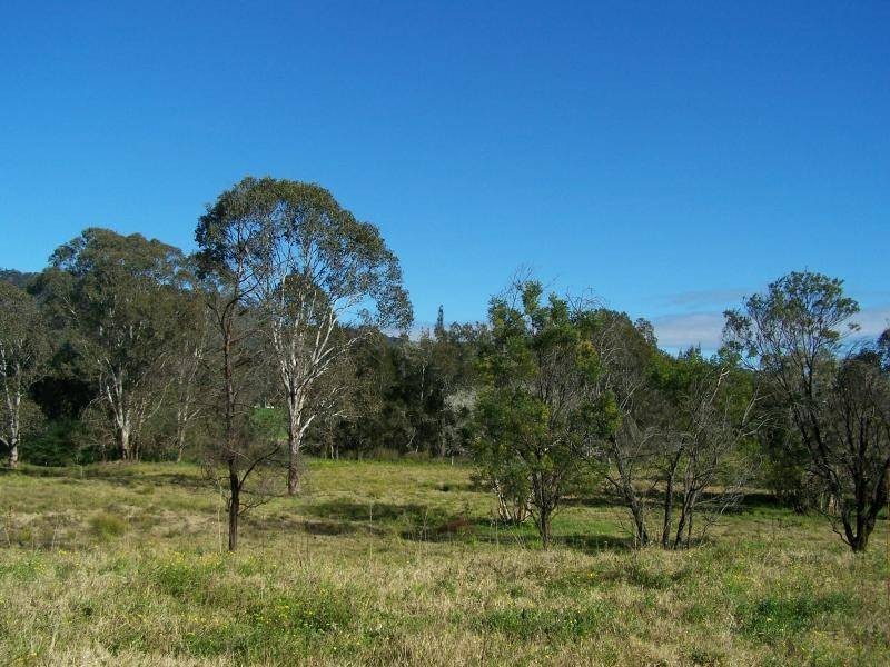 129 Wollombi Road, Millfield NSW 2325