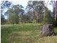 Lot 166 Vulture Street, Ellalong NSW 2325