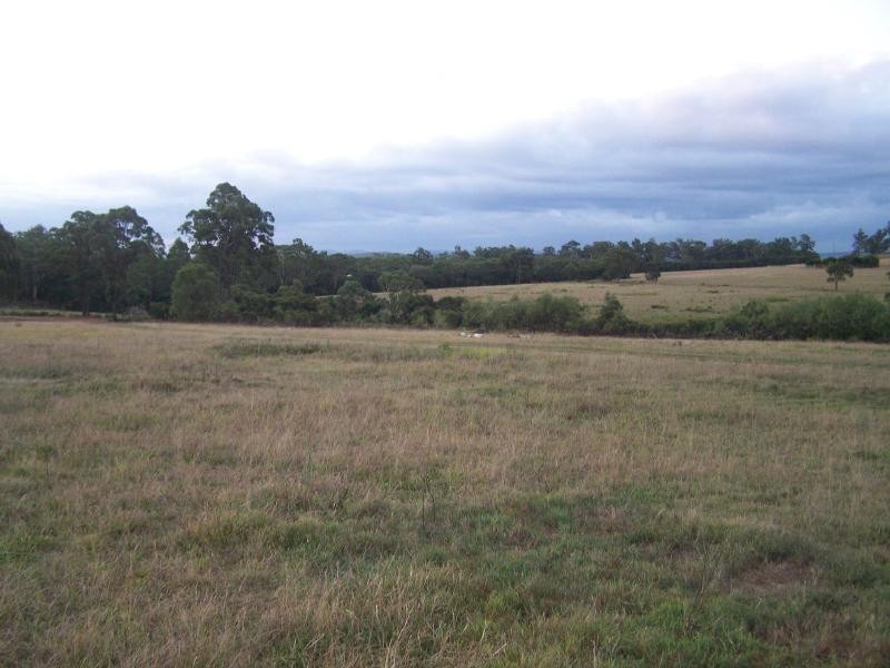 528 Main Rd, Cliftleigh NSW 2321