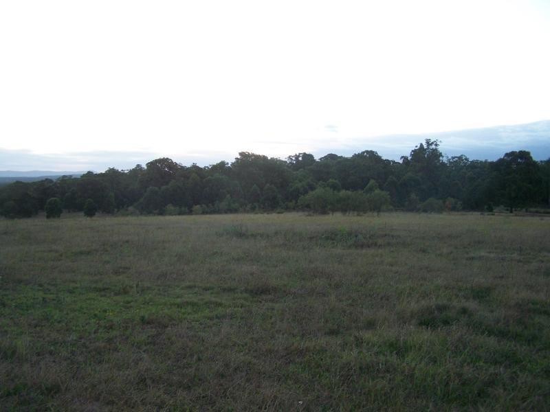 528 Main Rd, Cliftleigh NSW 2321