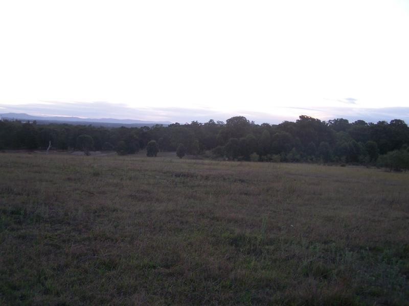 528 Main Rd, Cliftleigh NSW 2321