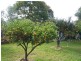 115 Wine Country Drive, Nulkaba NSW 2325