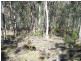 Lot/4 Sawpit Road, Cedar Creek NSW 2325