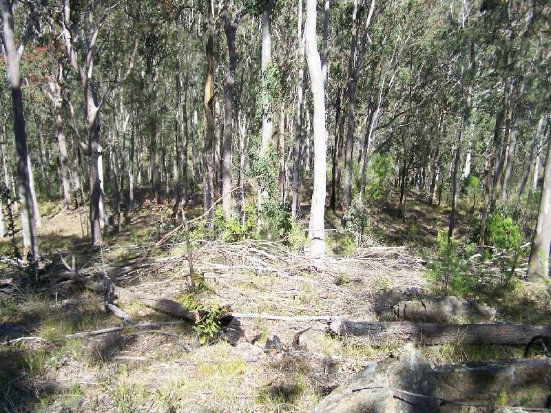 Lot/4 Sawpit Road, Cedar Creek NSW 2325