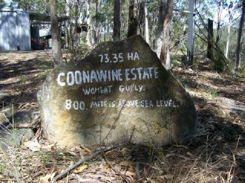 Lot/4 Sawpit Road, Cedar Creek NSW 2325