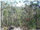 Lot/4 Sawpit Road, Cedar Creek NSW 2325