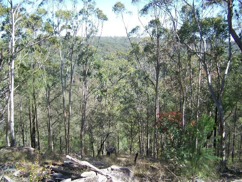 Lot/4 Sawpit Road, Cedar Creek NSW 2325