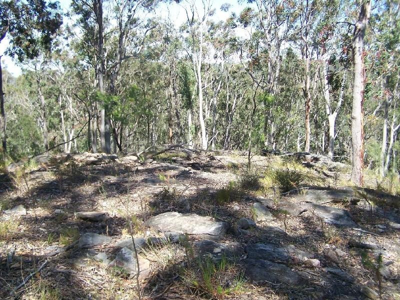 Lot/4 Sawpit Road, Cedar Creek NSW 2325