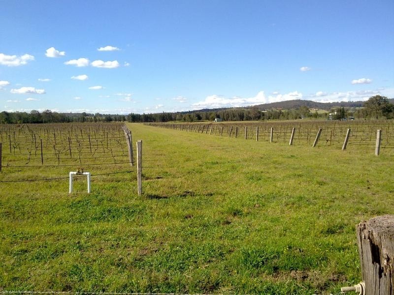 Lots 2 & 3 DP 239505/ Wilderness Road, Rothbury NSW 2320