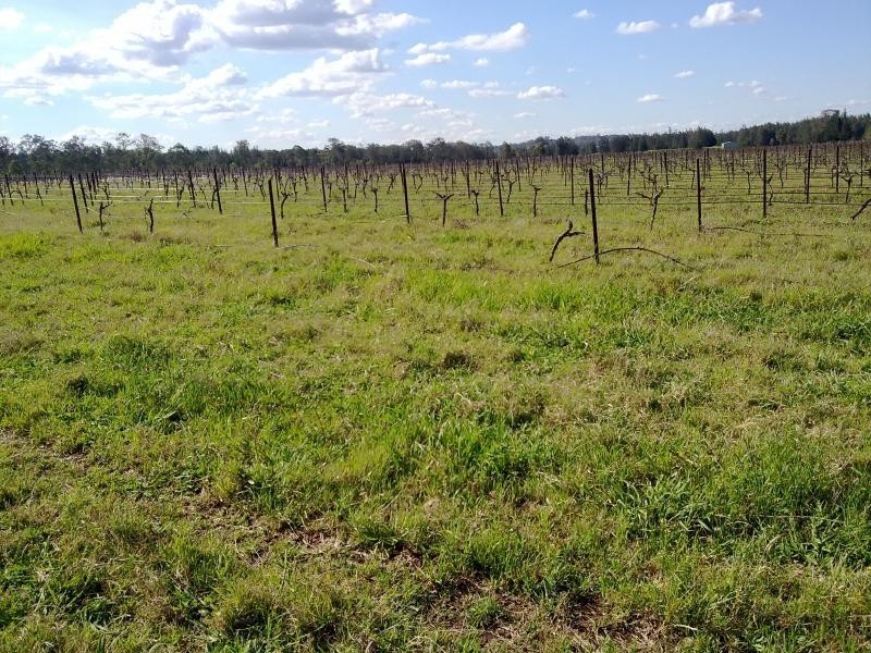 Lots 2 & 3 DP 239505/ Wilderness Road, Rothbury NSW 2320