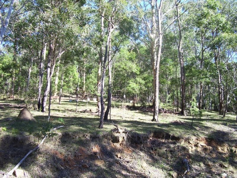 823 Oyster Shell Road, Mangrove Creek NSW 2250