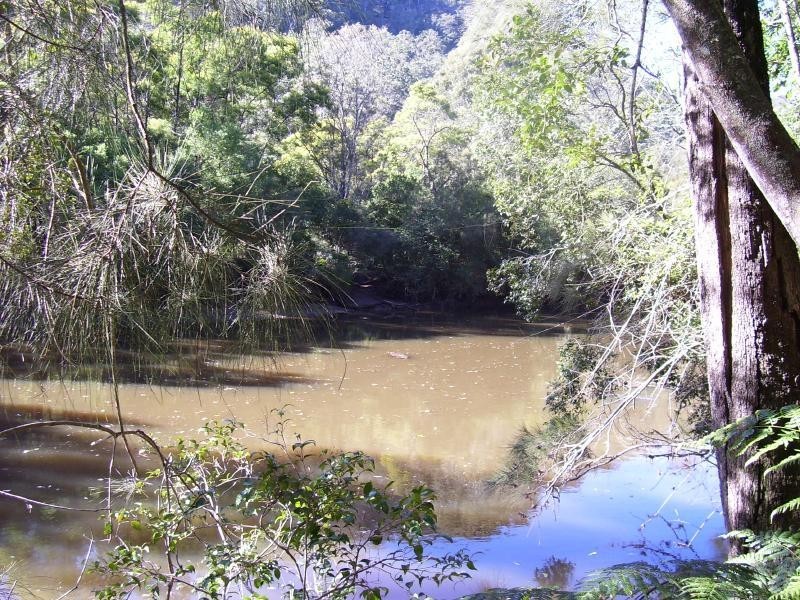 823 Oyster Shell Road, Mangrove Creek NSW 2250