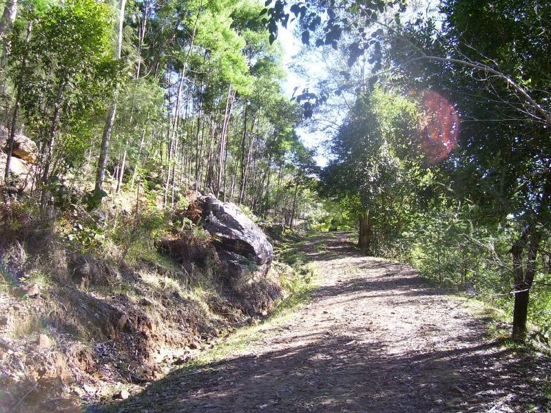 823 Oyster Shell Road, Mangrove Creek NSW 2250