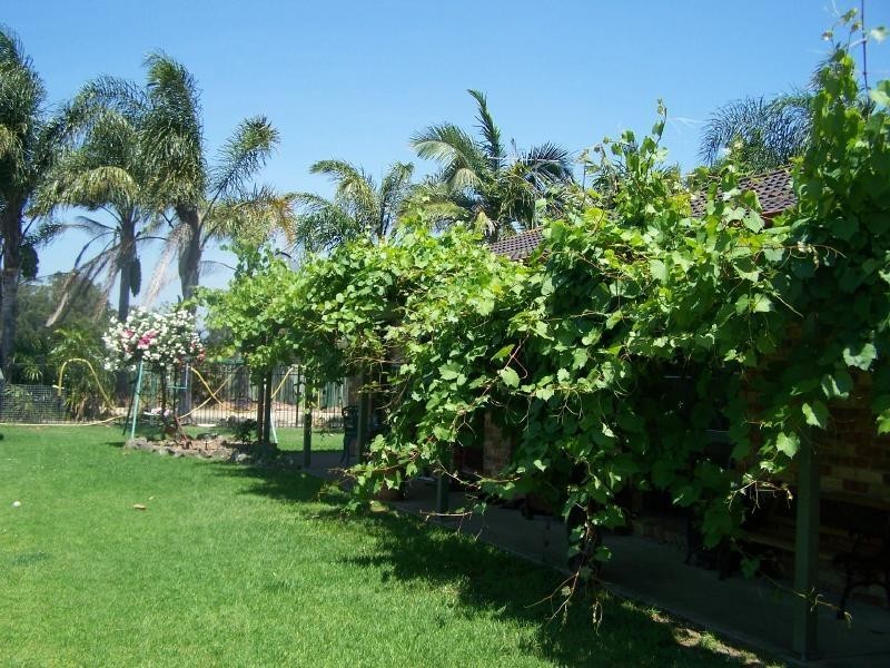 42 Rothbury Street, North Rothbury NSW 2335