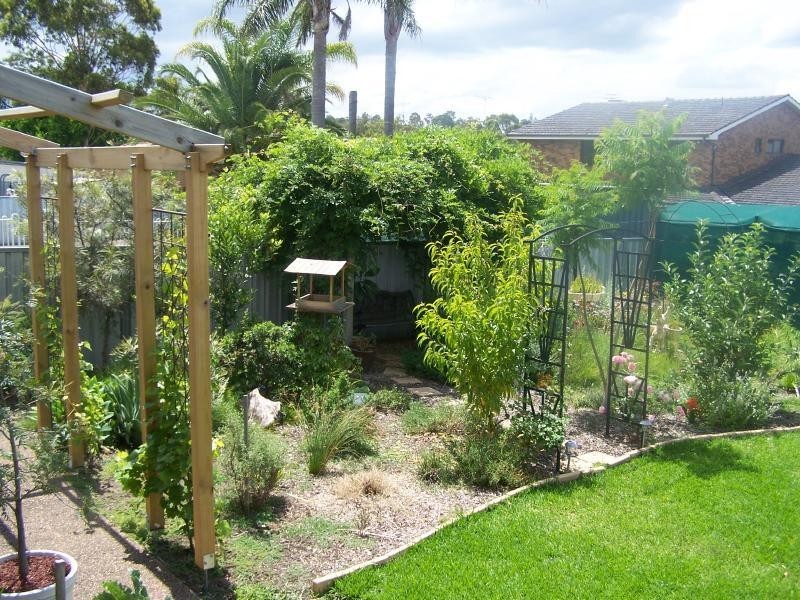 Cessnock NSW 2325