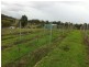 Rothbury NSW 2320