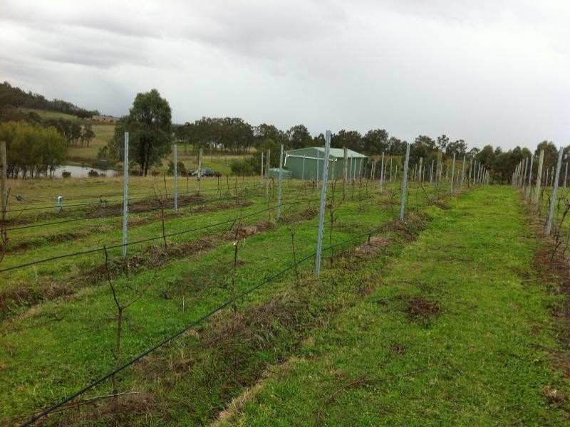 Rothbury NSW 2320