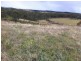 Rothbury NSW 2320