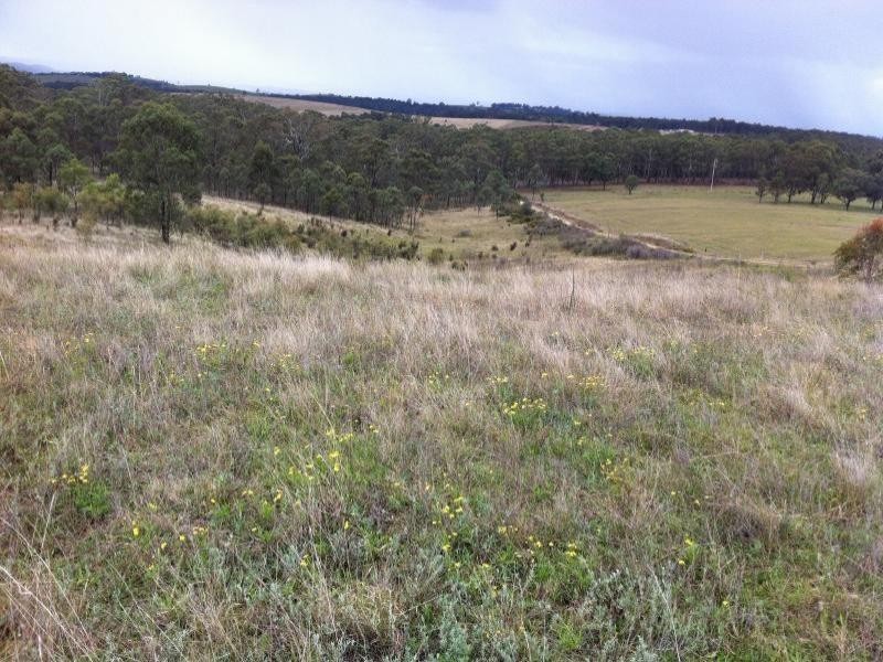 Rothbury NSW 2320
