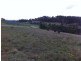 Rothbury NSW 2320