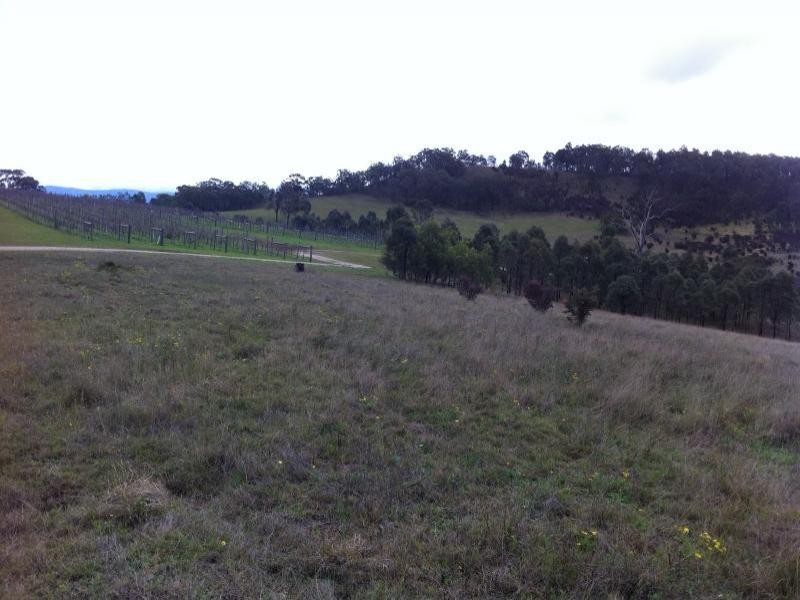 Rothbury NSW 2320