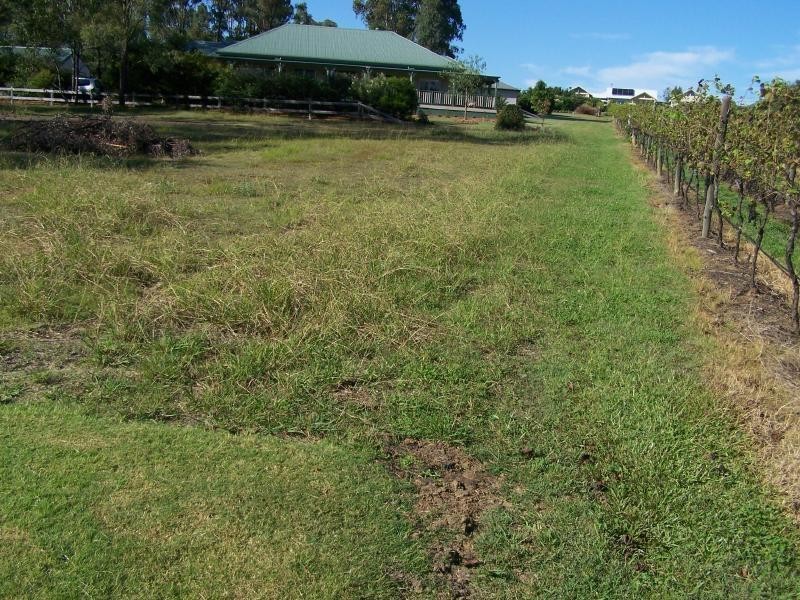Lot 37 Kelman Estate Vineyard, Pokolbin NSW 2320