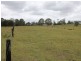 173 Harle Street, Abermain NSW 2326