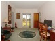 17 Camellia Close, Elrington NSW 2325
