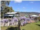 Millfield NSW 2325