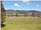 Millfield NSW 2325