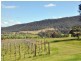 Millfield NSW 2325