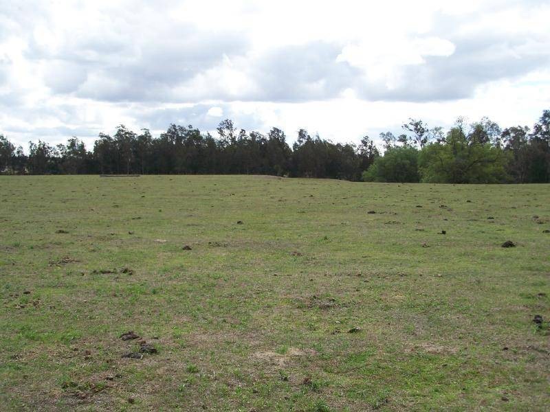 6 Lovedale, Lovedale NSW 2325