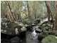 Laguna NSW 2325