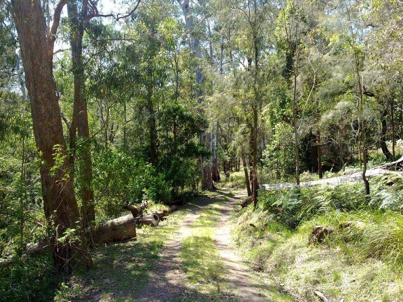 Laguna NSW 2325