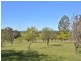 ‘Montana” 42 Pyne Way, Mount View NSW 2325
