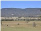 21 Walmsley Street, Millfield NSW 2325