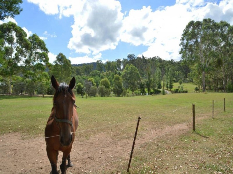 1517 Mount View Rd, Millfield NSW 2325