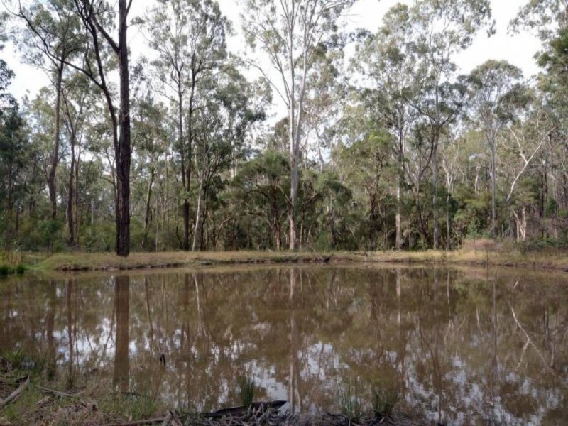 55 Dunlop Drive, Paxton NSW 2325