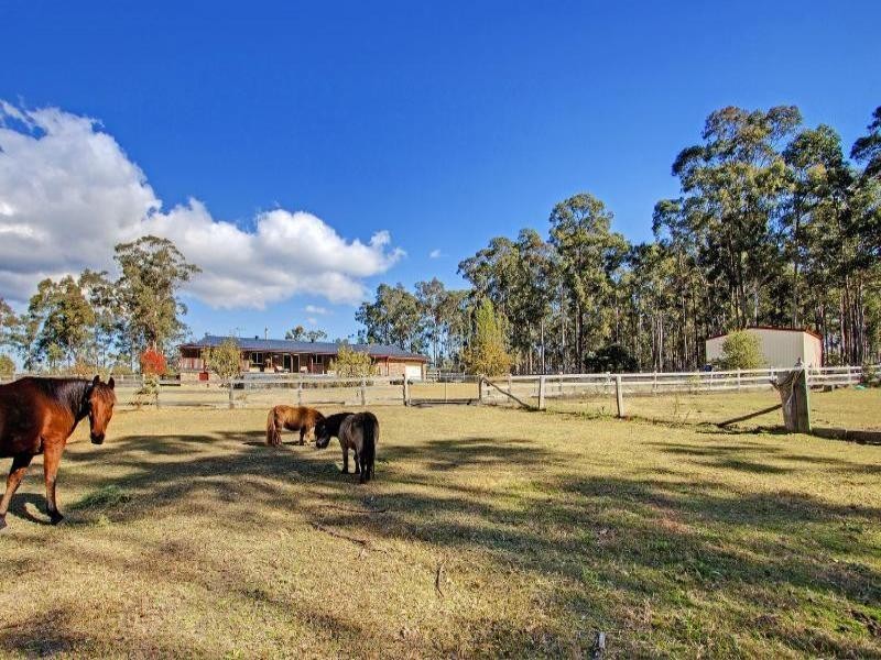 3 Irwin Close, Millfield NSW 2325